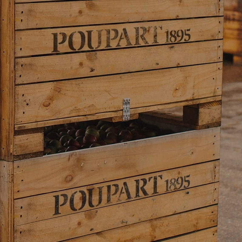 Poupart 1895 Boxes